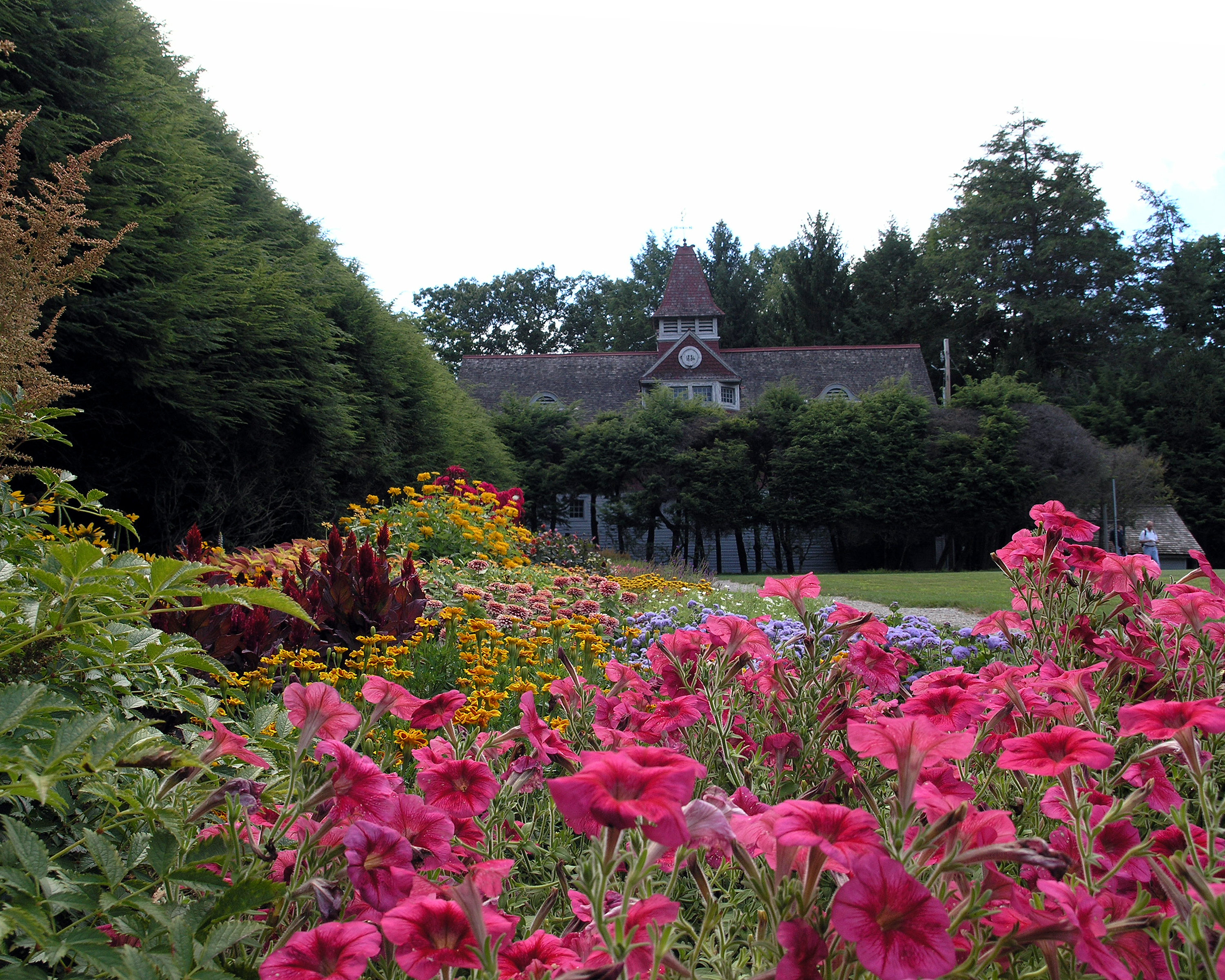 The FDR Memorial Commission Endorse the Idea of a Rose Garden. 